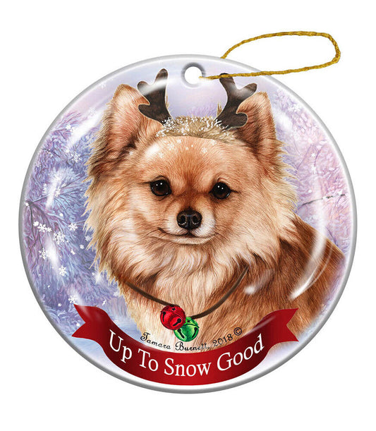 Holiday Pet Gifts Red Longhaired Chihuahua Dog Porcelain Christmas Ornament