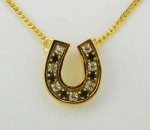 Finishing Touch Crystal Channel Horseshoe Necklace - Jet Black