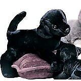 Douglas Toys James Black Lab Plush Stuffed Animal
