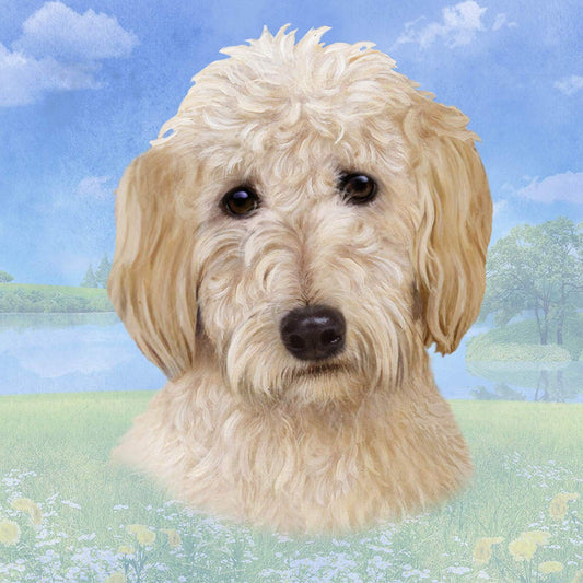 Goldendoodle Tabletop Drink Coaster (1)