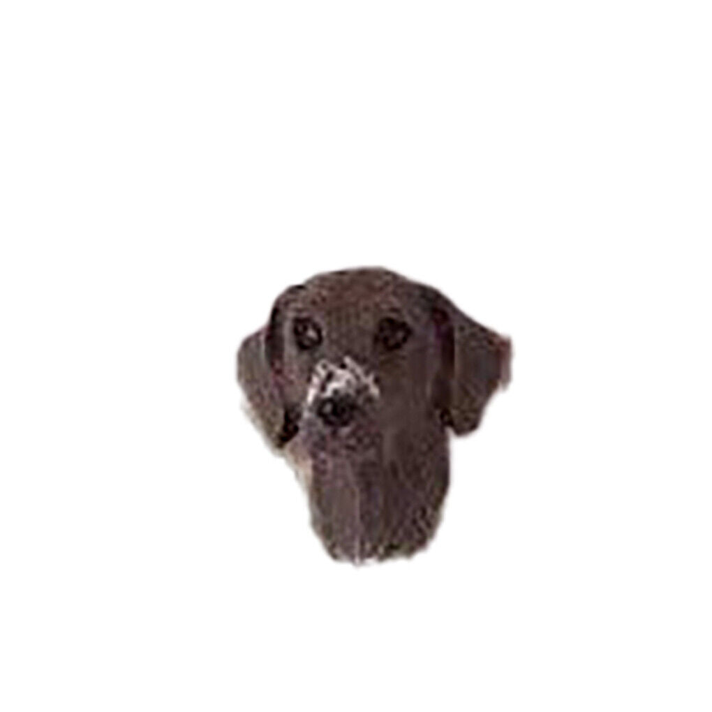Conversation Concepts German Short Haired Pointer Earrings Post