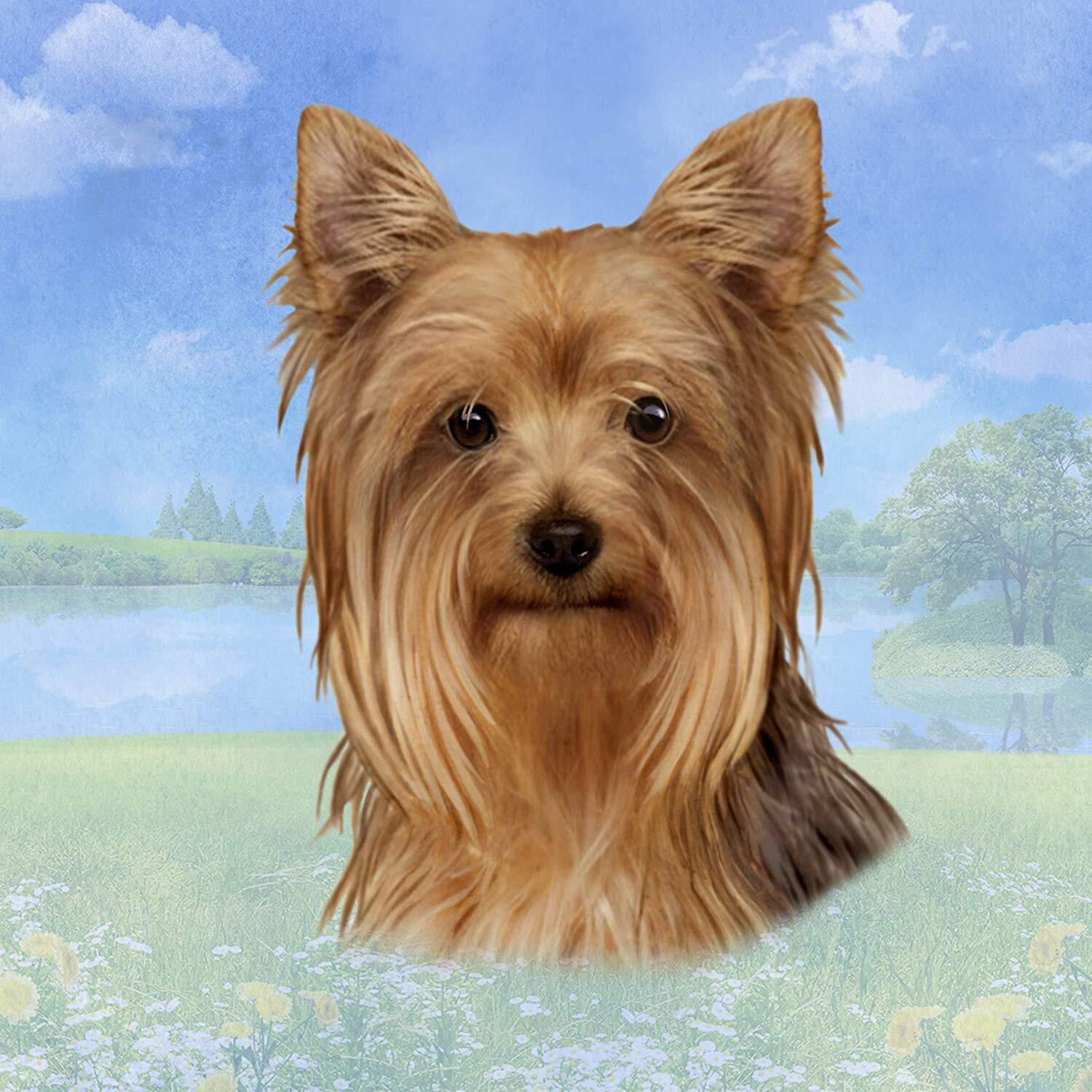 Yorkie Tabletop Drink Coaster (1)