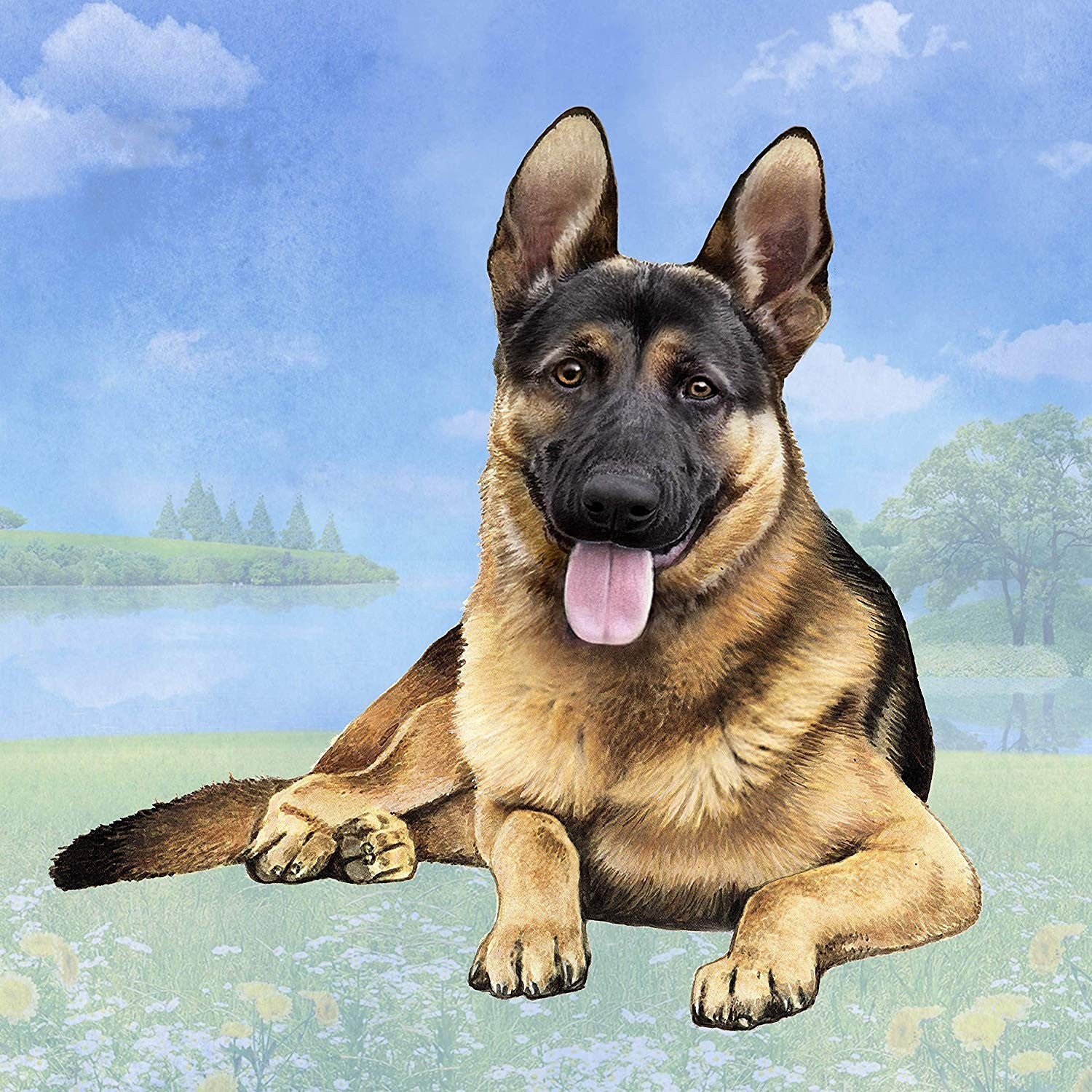 German Shepherd (Black & Tan) Tabletop Drink Coaster (1)