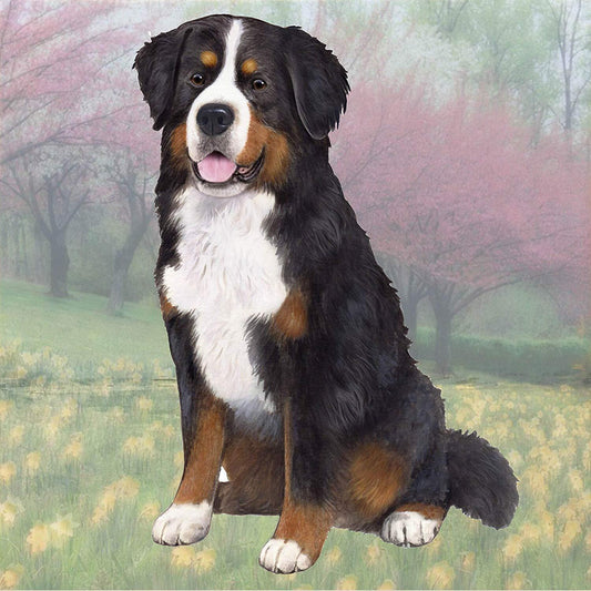 Bernese Mountain Dog Tabletop Drink Coaster (1)