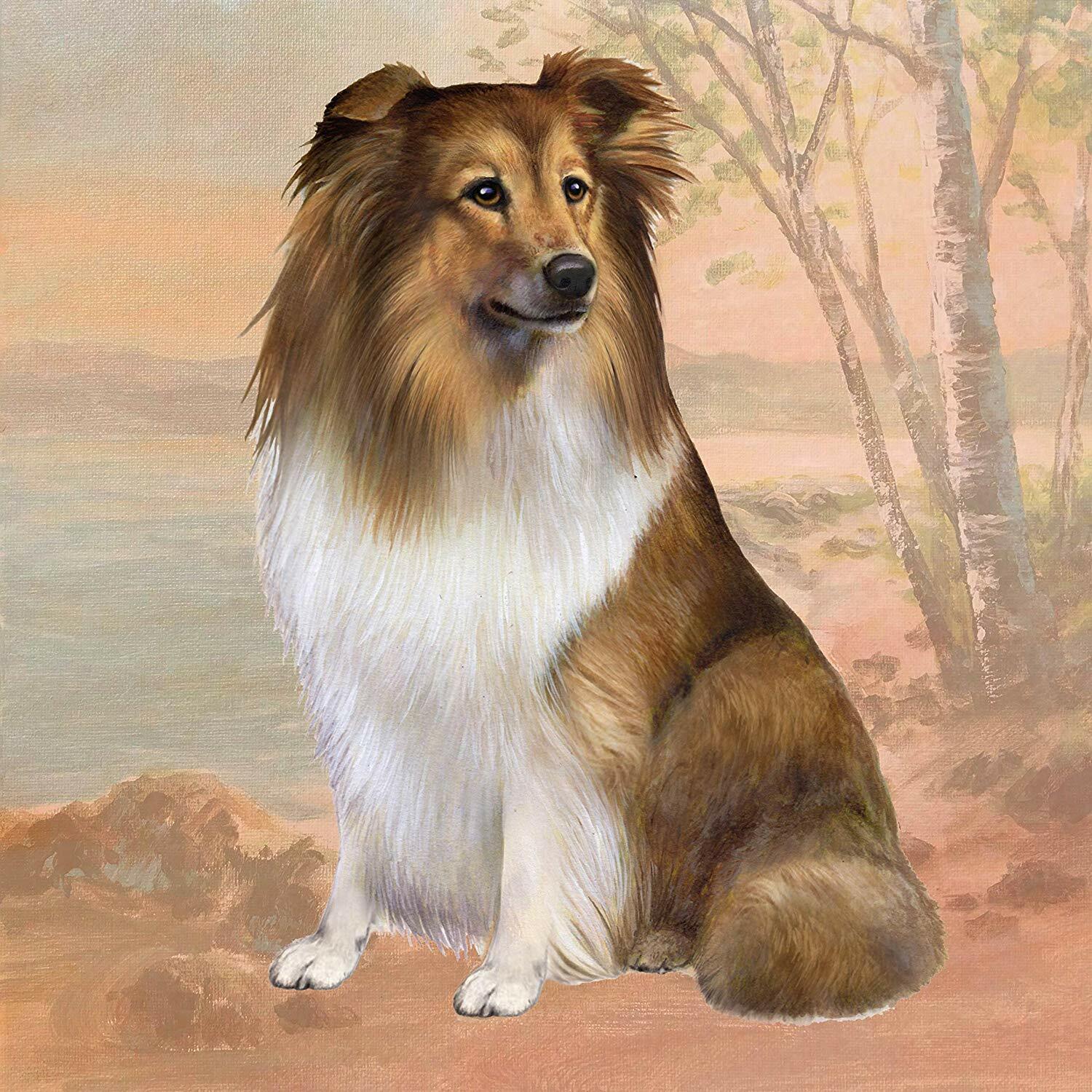 Shetland Sheepdog Tabletop Drink Coaster (1)