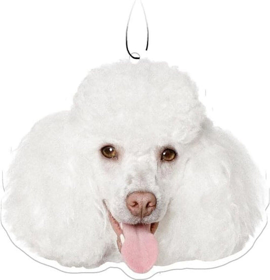 Spoontiques White Poodle Air Freshener (3-Pack)