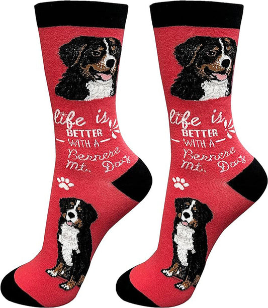 E&S Pets Pet Lover Socks, Life is Better with a Bernese Mountain Dog