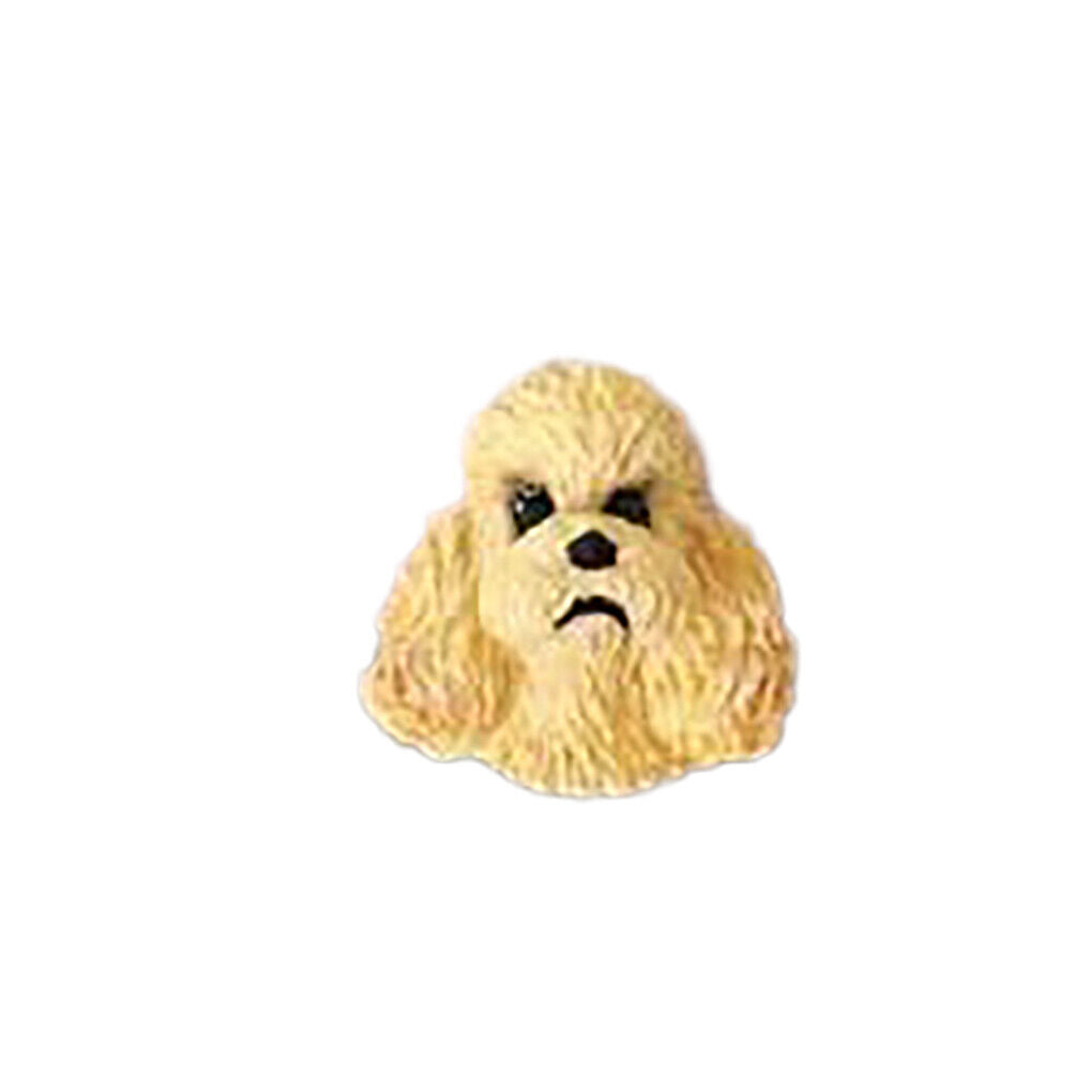 Conversation Concepts Poodle Apricot w/Sport Cut Earrings Post