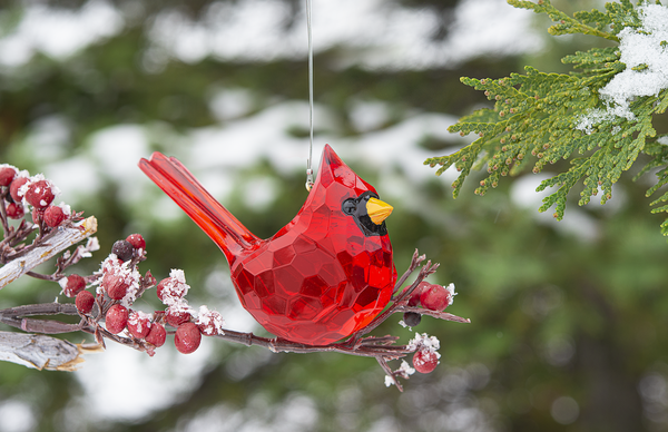 Ganz ACRYX-173 Decorative Hanging Ornament, Acrylic, Elegant Cardinal, 3.5"