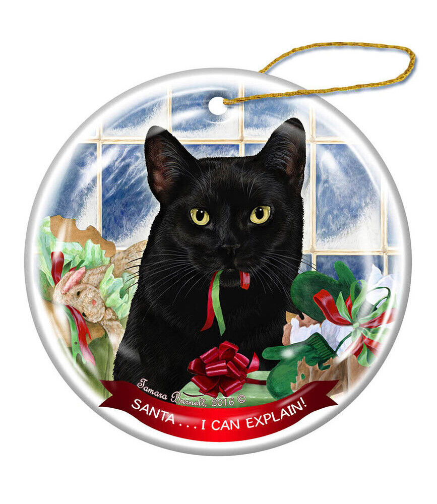 Black Cat Porcelain Hanging Ornament Pet Gift 'Santa.. I Can Explain!'