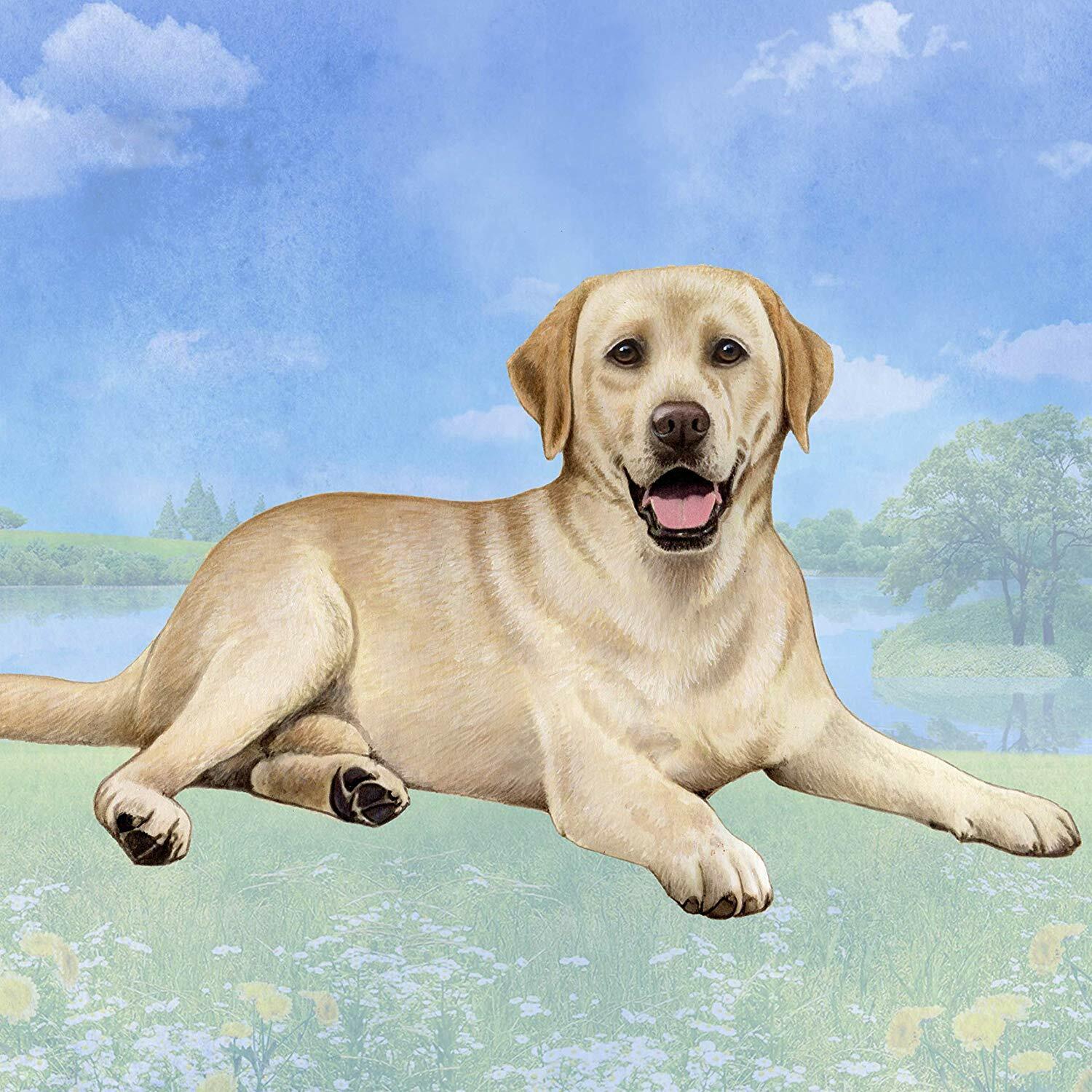 Labrador (Yellow Laying) Tabletop Drink Coaster (1)