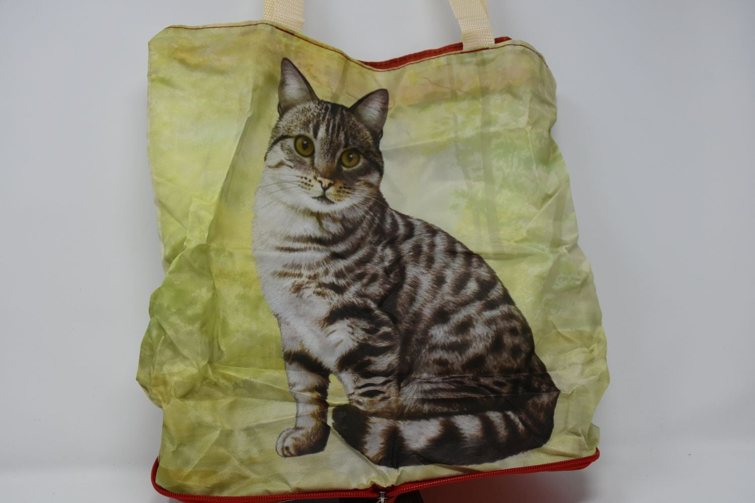 Gray Tabby Cat Foldable Tote Bag - Durable, Waterproof - Zipper Market Tote