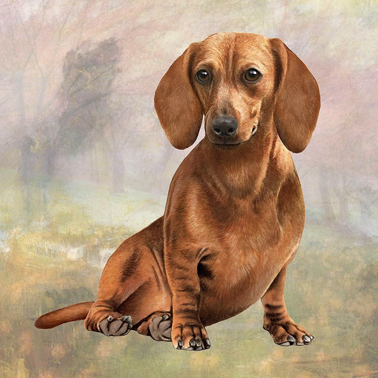 Dachshund (Red Sitting) Tabletop Drink Coaster (1)
