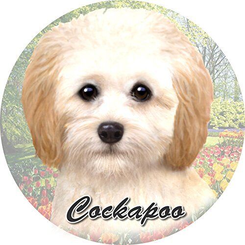 ES Pets Absorbent Stoneware Car Cup Holder Coaster, Cockapoo