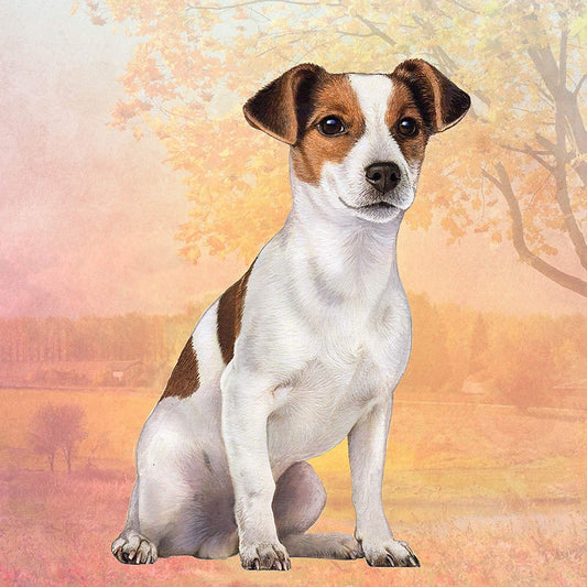 Jack Russell Tabletop Drink Coaster (1)