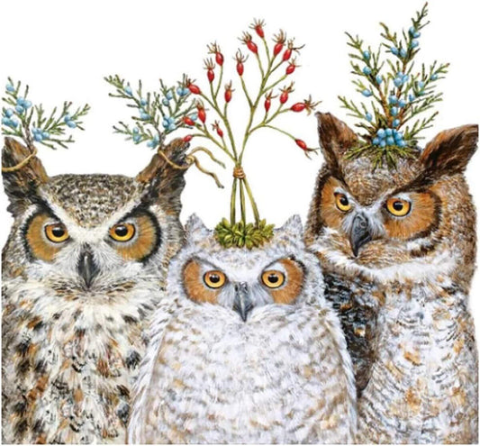 Paperproducts Design Luncheon Napkins, Holiday Hoot Owls, 6.5", 20 count