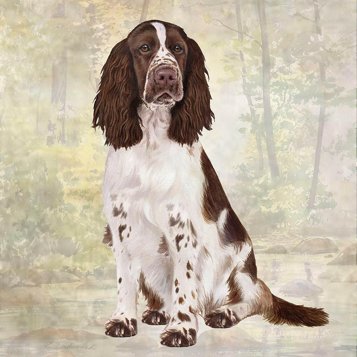 Springer Spaniel Tabletop Drink Coaster (1)