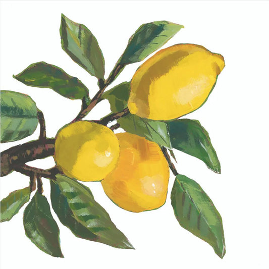 Paperproducts Design Lemon Musee Beverage Napkin, 5" x 5", Pkg. of 20