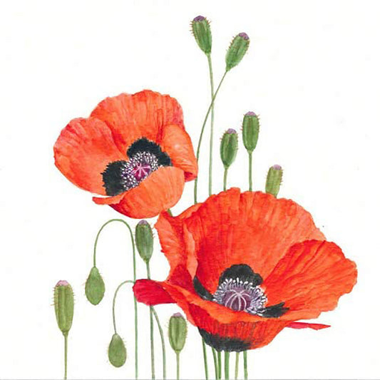 Paperproducts Design Poppies Beverage Napkin, 5" x 5", Pkg of 20