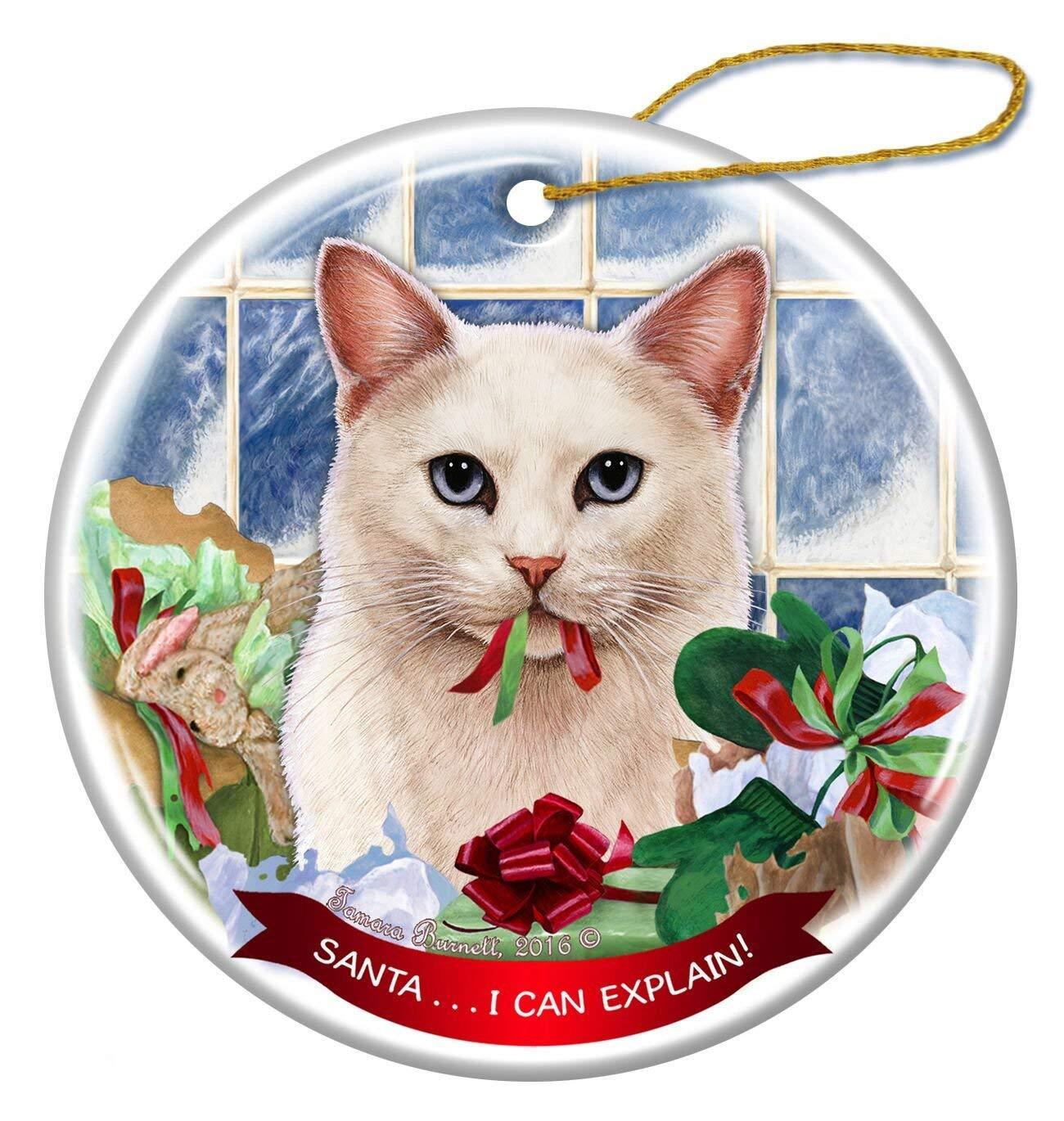 White Shorthaired Blue Eye Cat Porcelain Ornament 'Santa.. I Can Explain!