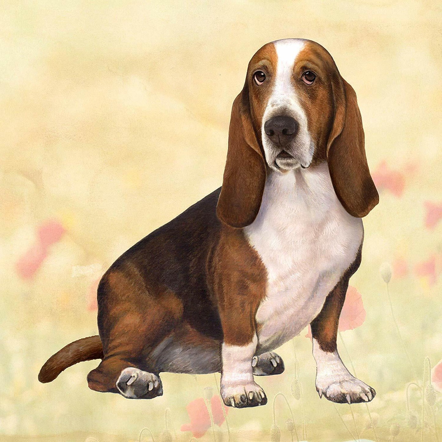 Basset Hound Tabletop Drink Coaster (1)