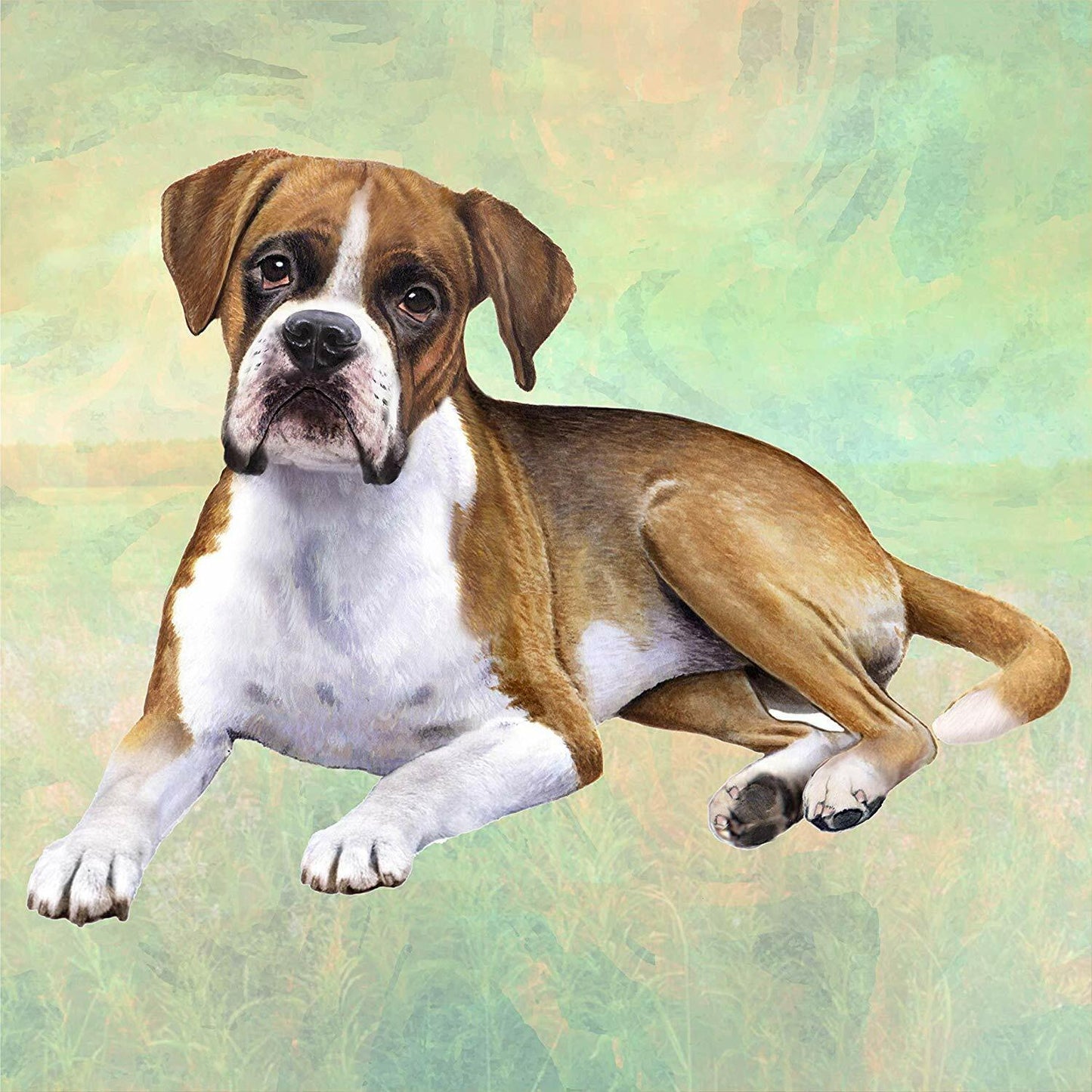 Boxer (Laying) Tabletop Drink Coaster (1)