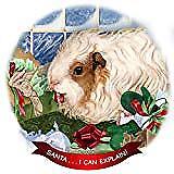 Guinea Pig Texel Porcelain Ornament Pet Gift 'Santa. I Can Explain!'