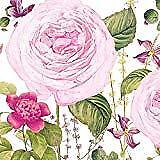 Paperproducts Design Beverage/Cocktail Pink Princess Rose Paper Napkins