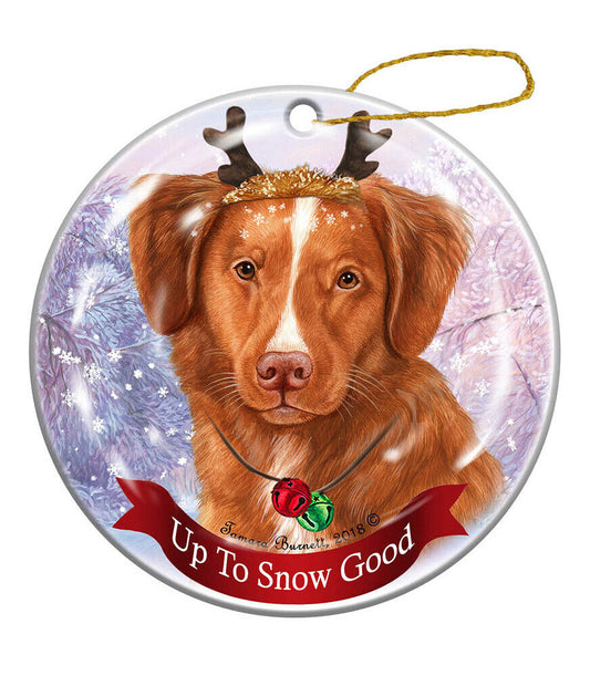 Holiday Pet Gifts Nova Scotia Duck Trolling Retriever Dog Porcelain Christmas