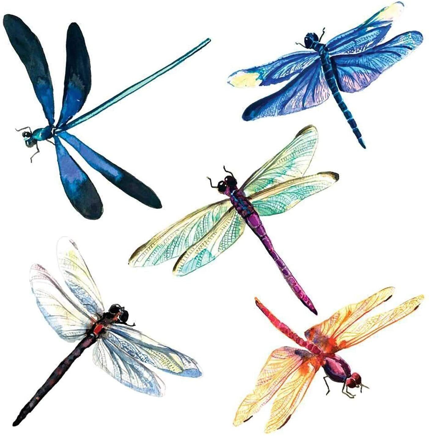 PAPER PRODUCTS DESIGN Libelula Dragonflies Beverage Napkin, 20 CT
