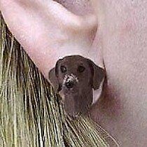 Conversation Concepts German Short Haired Pointer Earrings Post