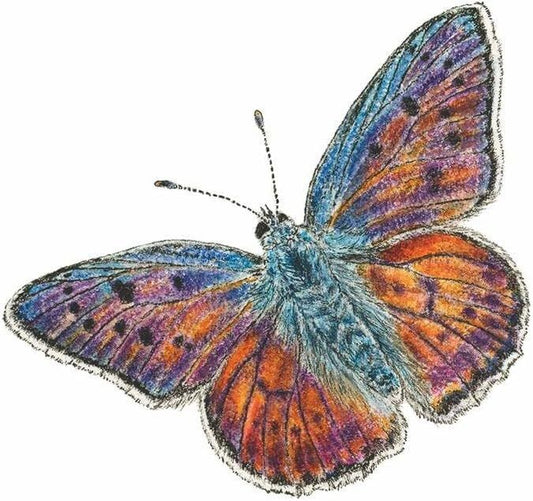 Paperproducts Design Papillon Butterfly Beverage/Cocktail Paper Napkins,5"x5"