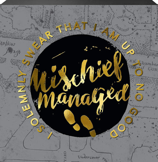 Spoontiques I Solemnly Swear Mischief Managed Box Sign, 6" x 6"