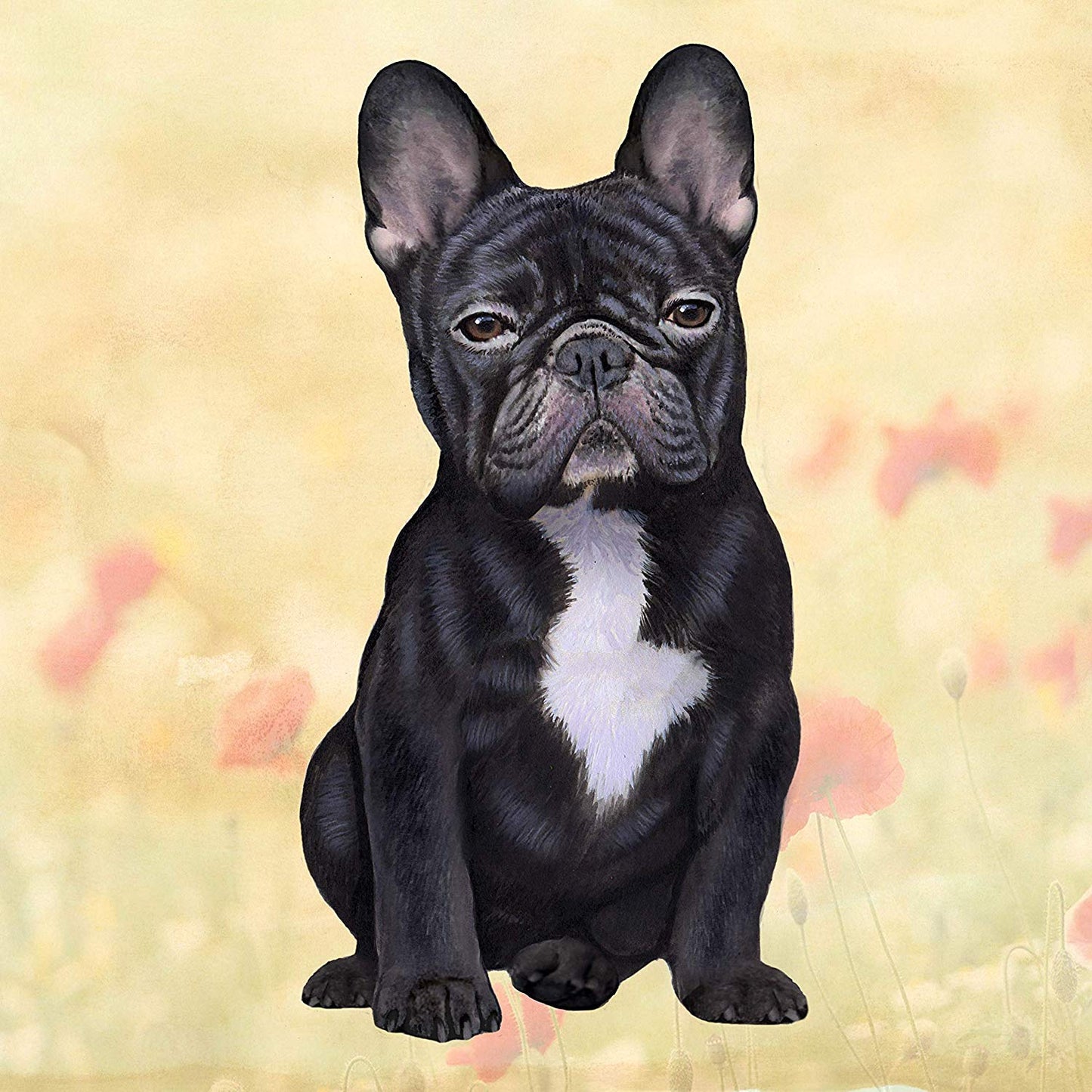 French Bulldog (Black) Tabletop Drink Coaster (1)
