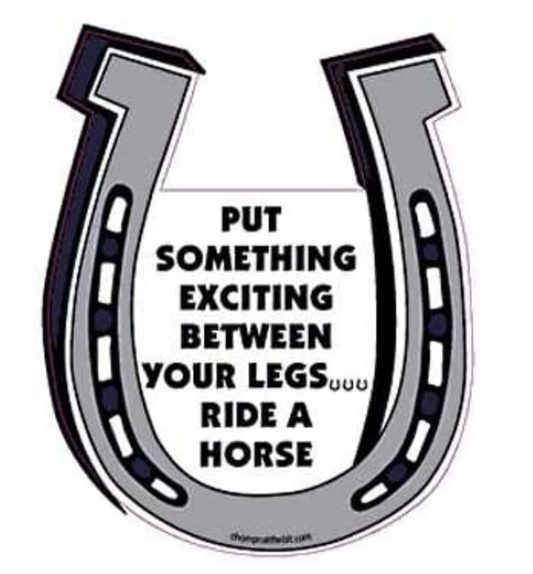 Put Something Exciting Between Your Legs.. Ride A Horse  Horseshoe Magnet