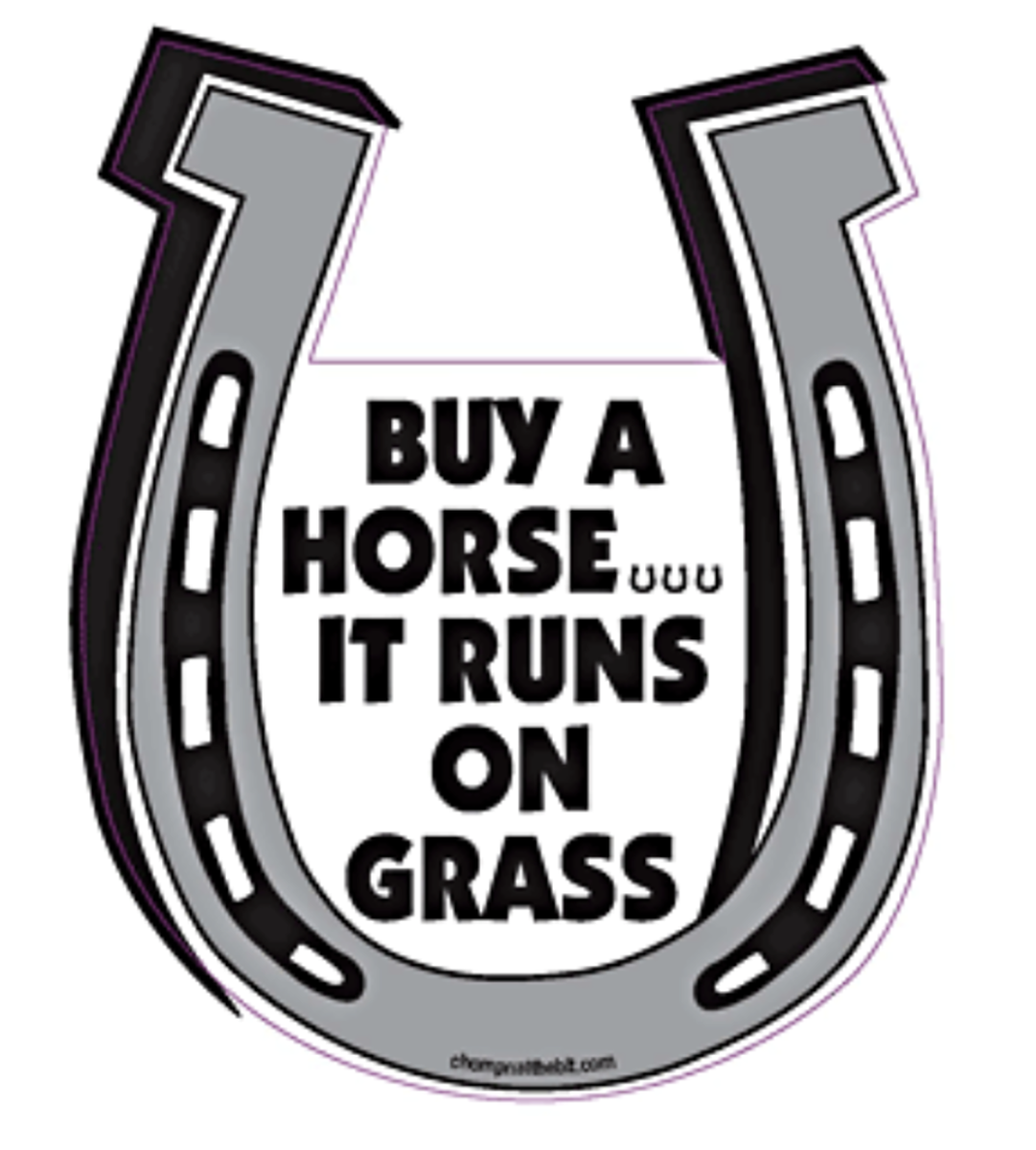 Buy A Horse... It Runs On Grass Horseshoe Magnet for Car or Trailer