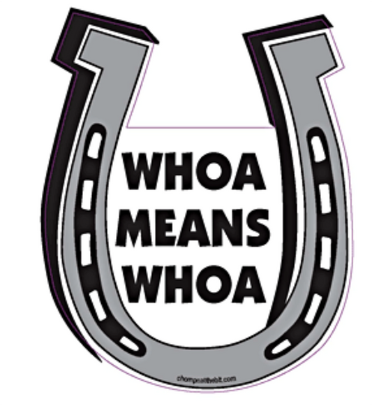 Whoa Means Whoa  Horseshoe Magnet for Car or Trailer