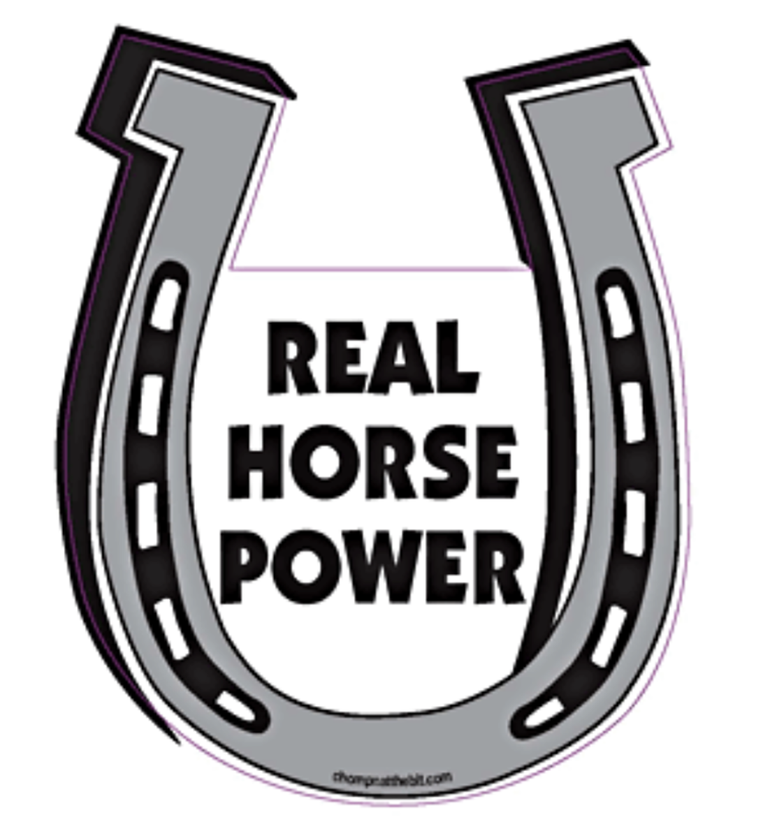 Real Horse Power  Horseshoe Magnet