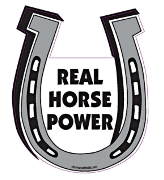 Real Horse Power  Horseshoe Magnet