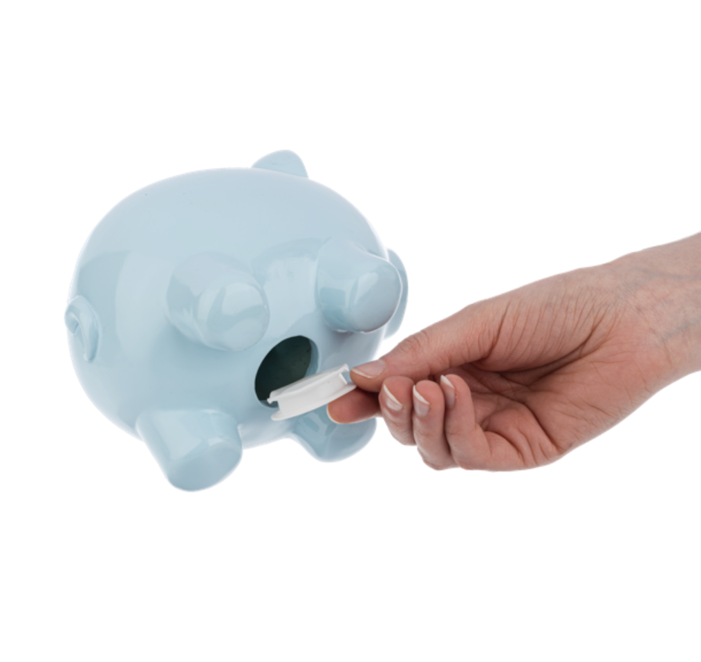Ganz Blue Pig Money Bank, 6-inch Length, Pink, Polyresin