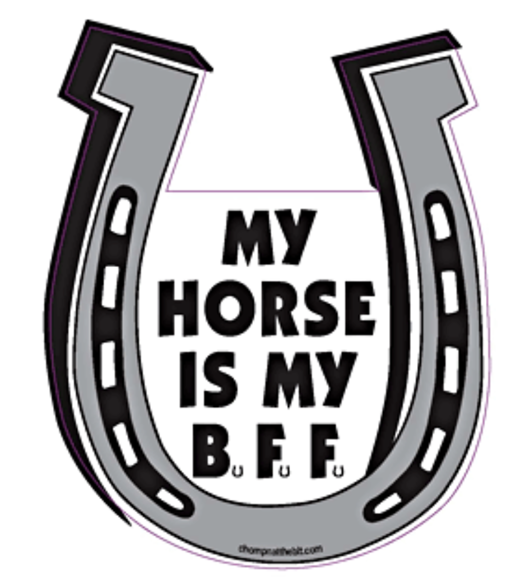 My Horse Is My B.F.F. Magnet Horseshoe Magnet for Car or Trailer