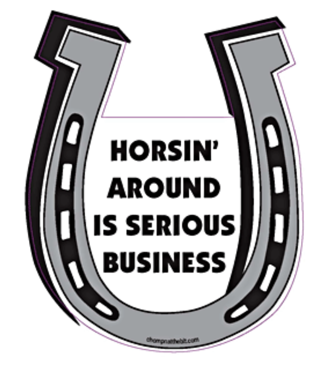 Horsin' Around Is Serious Business Horseshoe Magnet for Car or Trailer