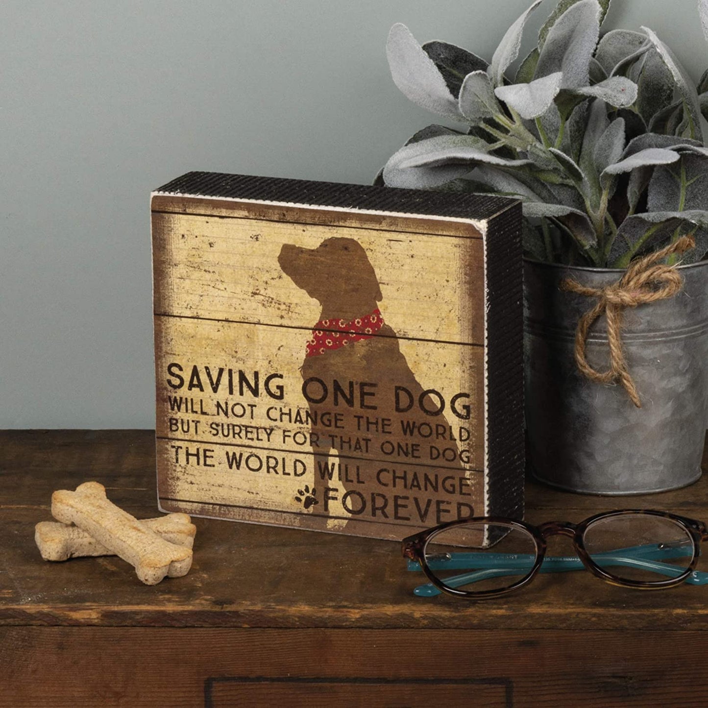 Primitives by Kathy Distressed Box Sign, Saving One Dog Will Not Change World